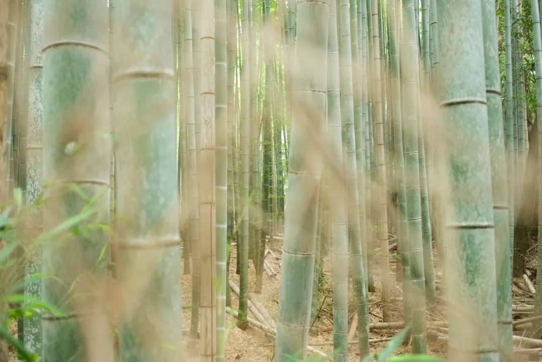 汽车零部件批发与零售：维修厂采购配件选型要点